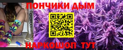 шишки Можга