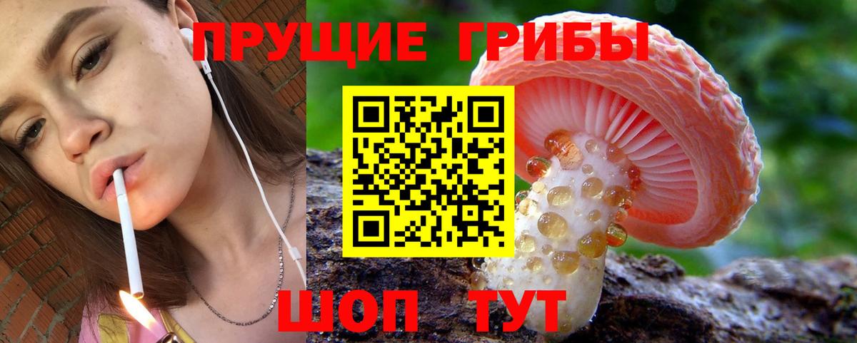Галлюциногенные грибы GOLDEN TEACHER Среднеуральск